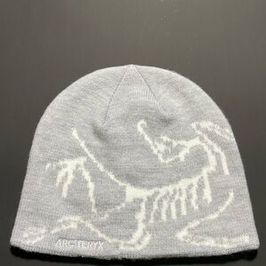 Arc'teryx Light Gray Dinosaur Beanie